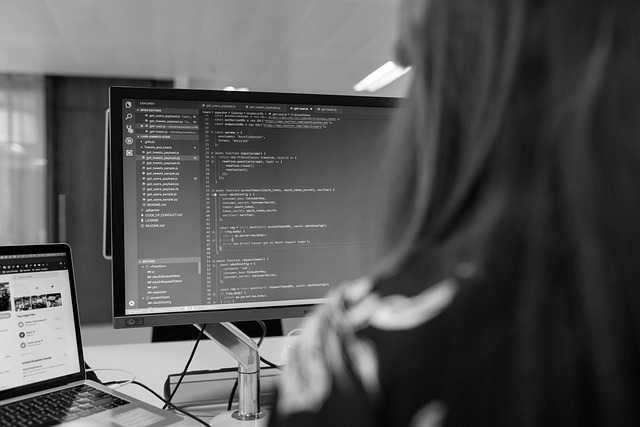 IT-Projekte – SEG München